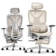 thumbnail image 1 of Silla de oficina FLEXISPOT ErgoX Premium ergonómica con reposapiés, 1 of 9