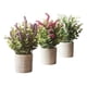 thumbnail image 2 of Set 2 Planta Decorativa Artificial Estilo Silvestre Jhn, 2 of 3