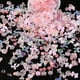 thumbnail image 2 of 100 pcs Sparkling Acrylic Nail Charms - Butterfly, Bear, Flower, Heart, Crown, Starry AB Rhinestones - Perfect for Nail Art and DIY Manicures, 2 of 3