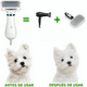 thumbnail image 1 of Cepillo y Secador de Pelo de mascotas 2 en 1, 1 of 4
