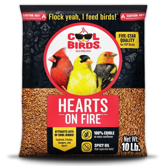 Bird Seed Cool Birds Hearts on Fire Hot, girasol descascarado de 4,54 kg