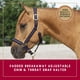thumbnail image 2 of Cabezada Weaver Equine acolchada de 2,5 cm con liberación de seguridad, 2 of 6