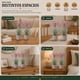 thumbnail image 5 of Set 2 Plantas Artificiales Flores Lavanda Decoracion Hogar terracota, 5 of 8