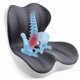thumbnail image 1 of Cojín Ergonómico de Espuma Viscoelástica para Espalda y Asiento Synthcore, 1 of 7