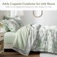 thumbnail image 2 of Juego de cama Madison Park Queen 7 piezas Floral Verde, 2 of 9