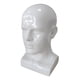 thumbnail image 5 of Cabeza De Maniquí Para Hombre, Accesorio De Soporte De Exhibición De PVC Para Exhibición De Salón, Blanco Brillante, 5 of 5