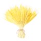 thumbnail image 5 of 100 Piezas De Flor De Oreja De Trigo Real Flores Secas Decoración De Fiesta De Boda Amarillo, 5 of 5