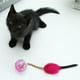 thumbnail image 2 of Set 6 Juguete Pelota Campanas Y Plumas Divertido Mascota Lau, 2 of 3
