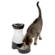 thumbnail image 1 of Estación de agua PetSafe Healthy Pet Small con capacidad de 1,9 litros, 1 of 5