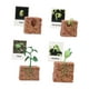 thumbnail image 3 of Figuras De Ciclo De Vida, Juguete Educativo Realista Para Favores De Fiesta, Crecimiento De Plantas, 3 of 5