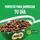 thumbnail image 2 of Cereal Sabor Chocolate, 300g, 2 of 7
