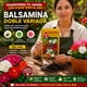 thumbnail image 4 of Semillas Balsamina Doble Las Encinas Colores Mix Jardín, 4 of 4
