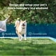 thumbnail image 2 of Collar de valla eléctrico PetSafe Stubborn Dog, impermeable, 2 of 7