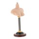 thumbnail image 5 of 1/6 Hombre Hombre Hombre Soporte Medio Bust Base Stand Platform Modelo De PVC Para Pelucas Hembra C, 5 of 5
