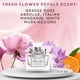 thumbnail image 2 of Perfume Dior Miss Rose N'Roses Eau de Toilette, 5 ml, 2 of 6