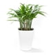 thumbnail image 2 of Macetero autorregante Delia 19, 2 of 3
