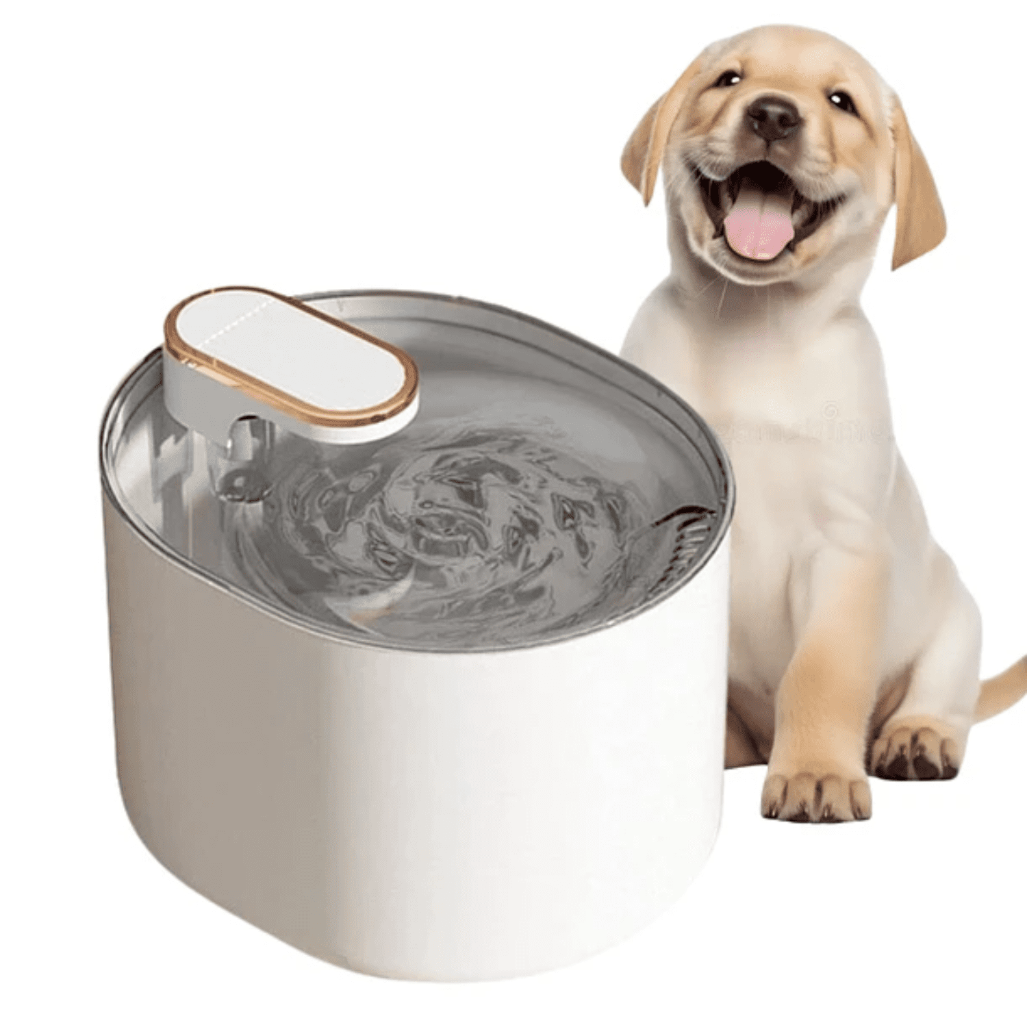 Crusec - Bebedero Automático Gatos Perros Fuente Agua 3l