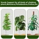 thumbnail image 3 of Tutor de musgo 2 unidades PLANTPOLEX, estacas de soporte para plantas de 53 cm, 3 of 6