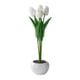 thumbnail image 1 of Flores Artificiales De Tulipanes Creativos Con Luz LED Para Adorno De Aniversario Blanco, 1 of 5