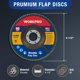thumbnail image 4 of Discos de aletas WORKPRO 115 mm grano 80 – paquete de 20 unidades T29, 4 of 6