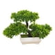 thumbnail image 3 of Árbol Bonsái Artificial, Escritorio, Pino Japonés En Maceta Para Chimenea De Baño, 3 of 3