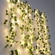 thumbnail image 1 of Add a Touch of Elegance to Your Outdoor Space with 1pc of 32.8 Feet Fake Vines with 100 LED Solar Outdoor String Lights - Perfect for Patio, Balcony, Outdoor Wall, Garden and Party Decor, 1 of 4