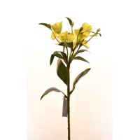 Vadell - Astromelia Verde 61 Cm
