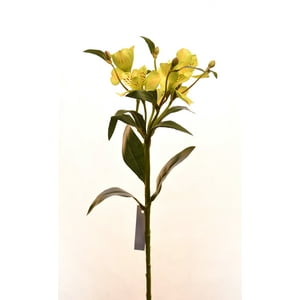 Vadell - Astromelia Verde 61 Cm