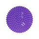 thumbnail image 3 of Pasos Para Ni?os Carrera De Obstáculos Para La Coordinación Imaginación Interior Violeta, 3 of 5
