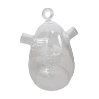 Magideal - Botella De Vidrio Para Aceite Y Vinagre, Contenedor De Aceitera, Botella De Aceite De Cocina, Transparente, Dispensador De De Soja 2 En 1 Para C