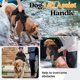 thumbnail image 3 of Arnés para perros Rabbitgoo Escape Proof de cuerpo entero L negro, 3 of 8