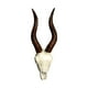 thumbnail image 1 of Escultura De Pared Con Cabeza De Oveja Y Calavera Para Decoración Del Hogar, Regalo, Adorno Para Colgar En La Pared 3D, Estilo B, 1 of 5