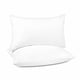 thumbnail image 1 of Insertos de almohada lumbar puredown® de 30 x 50 cm (paquete de 2), color blanco, 1 of 9