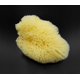 thumbnail image 4 of Esponjas Sea Silk Constantia Beauty, paquete de 12 unidades, para uso cosmético, 4 of 9