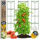 thumbnail image 1 of Jaula de soporte para plantas K-Brands para tomate, extra alta, 68 pulgadas, paquete de 3, 1 of 9