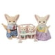 thumbnail image 2 of Familia Zorro De Desierto Fennec Fox Calico critters Sylvanian families, 2 of 3
