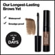 thumbnail image 2 of Gel para cejas REVLON ColorStay Brow Fiber Filler 306, transparente, 7 ml, 2 of 9