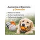 thumbnail image 4 of Pack 3 Pelotas con Sonido para Perros 7.6 cm, 4 of 10