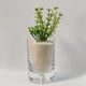 thumbnail image 2 of Arena decorativa mate crema, 2 of 5