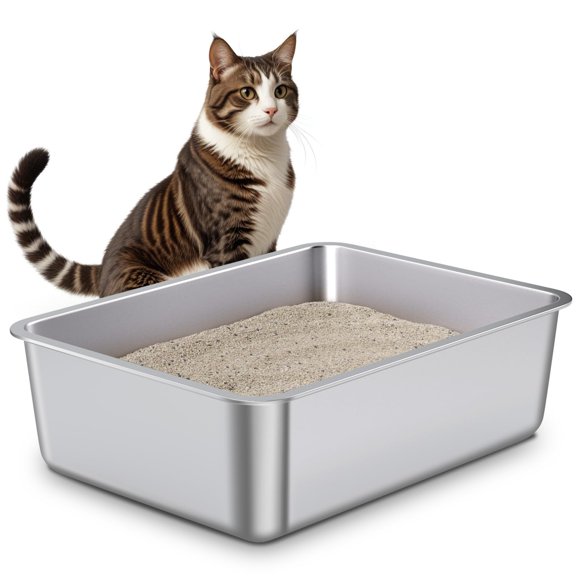 Caja de arena Exovyn 50x35x15 cm Acero inoxidable