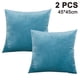 thumbnail image 1 of Paquete de 2 fundas de cojín cuadradas decorativas de terciopelo suave, para decoración del hogar, para sofá, cama o silla., 1 of 8