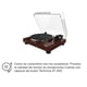 thumbnail image 4 of Tornamesa Manual Belt Drive Thorens TD202, 4 of 4