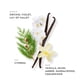 thumbnail image 3 of Perfume ETLEÉ Vanilla & Musk 30 ml Eau de Parfum, 3 of 9