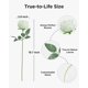 thumbnail image 2 of Flores Artificiales InnoGear 50 Rosas Blancas, 2 of 7