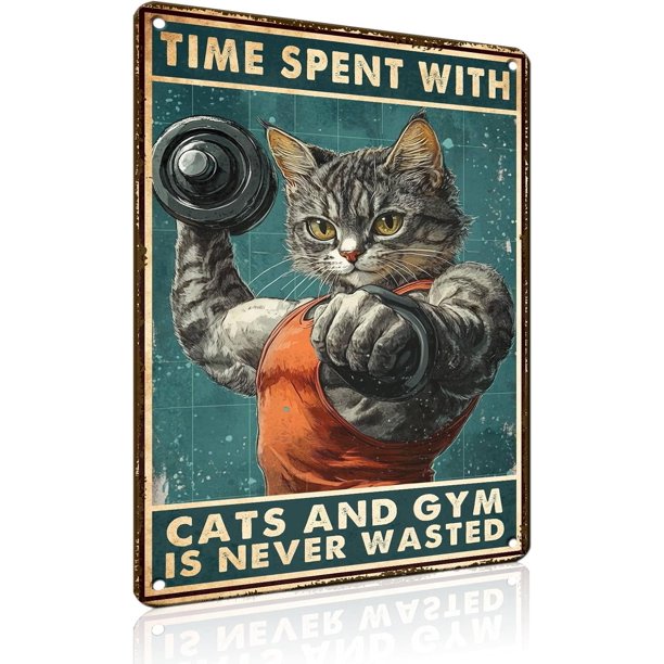 Letrero estaño metal gimnasio no dejas entrenar envejeces vintage arte pared hogar boxeo club 30x40cm