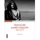 thumbnail image 1 of Historia Del Pueblo Mapuche. Siglos Xix Y Xx. Envio G /329, 1 of 6