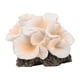 thumbnail image 1 of Adorno De Coral Artificial, Decoración De Pecera Para Balcón, Porche, Patio, Blanco Y Naranja, 1 of 5