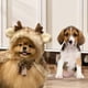 thumbnail image 5 of Disfraz De Reno Navideño Para Perro Y Gato, Capa De Papá Noel Para Cachorro, Perro Pequeño Y Mediano S, 5 of 6