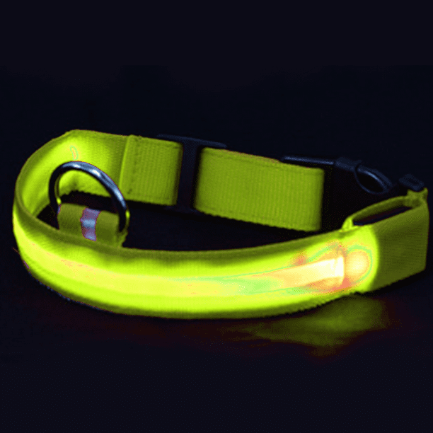 Collar LED para perro recargable por USB: collar luminoso brillante y de alta visibilidad para paseos nocturnos de mascotas.