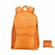 thumbnail image 1 of Large Capacity Foldable Backpack for Travel, 25L Lightweight Hiking Daypack with Multiple Compartments, Water Bottle Pockets, Compact Carry-On Bag, 1 Count, 1 of 3